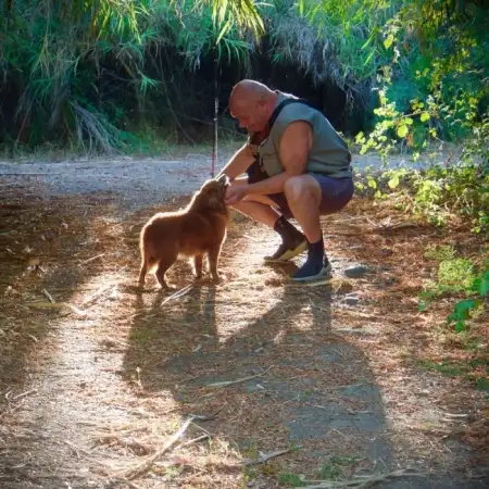 Mark, 66Rehovot, Israel 